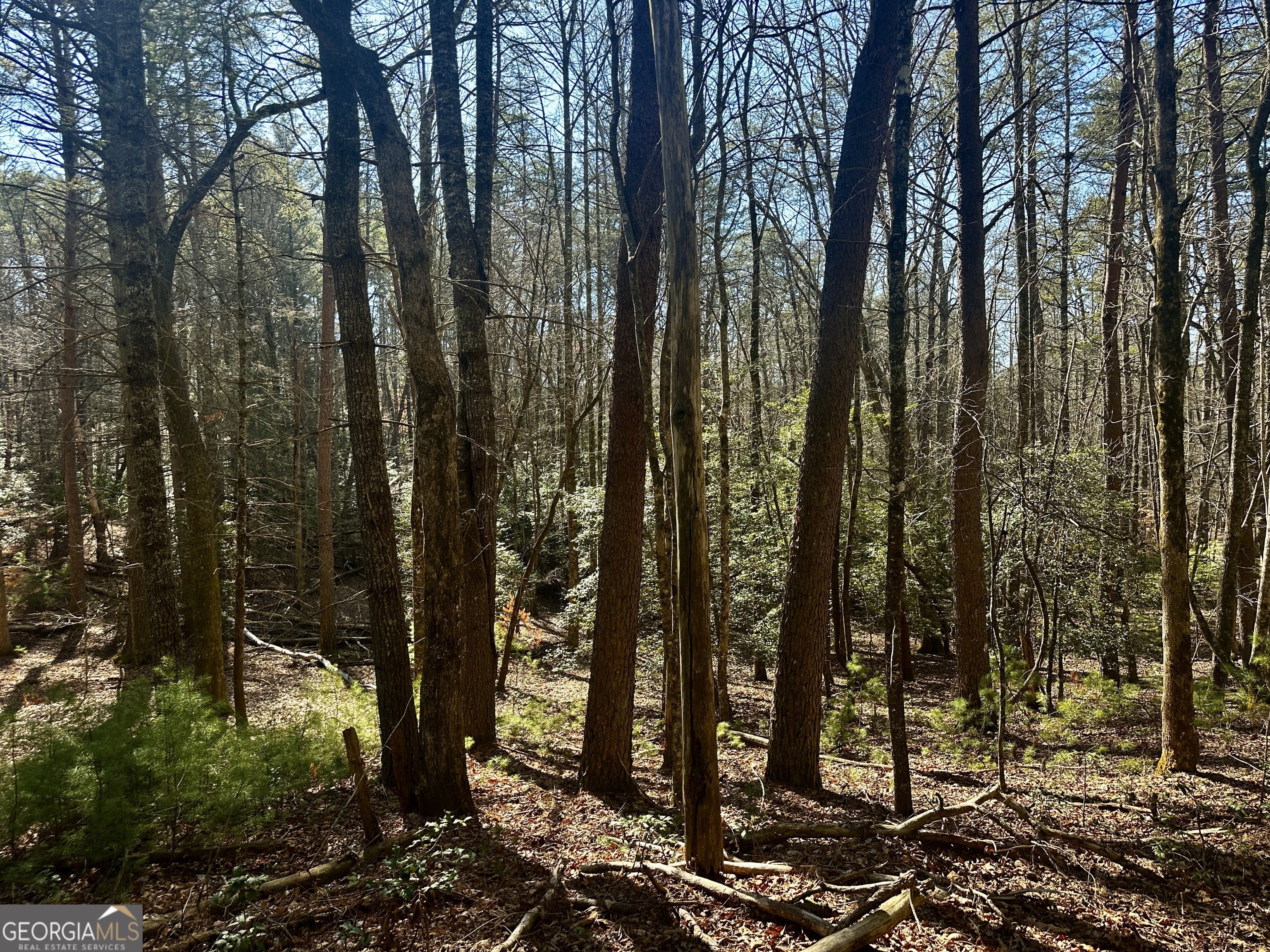 Mountain Creek - Land
