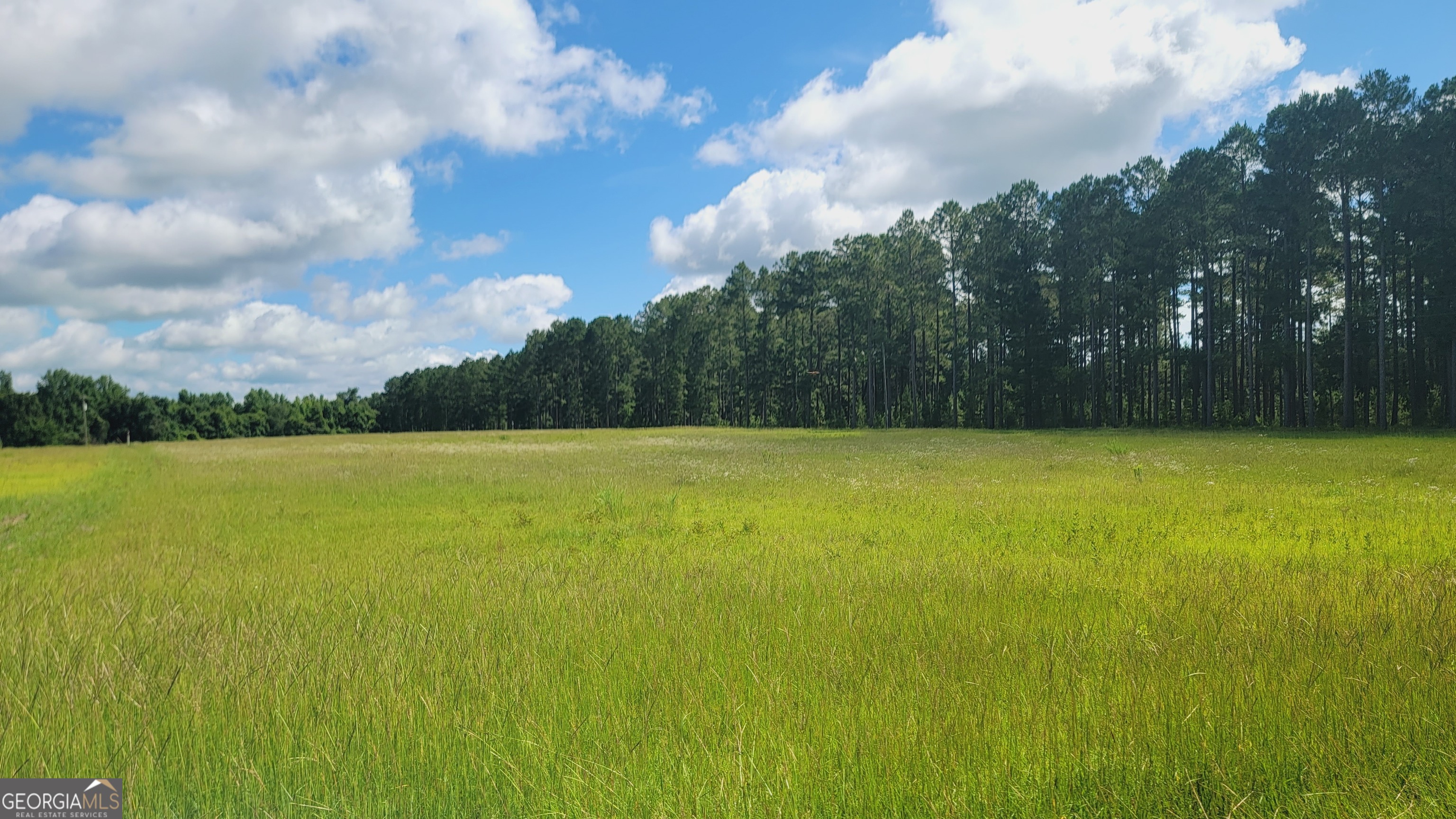 Gorgeous 11.75 Acre Homesite in Reynolds, GA. Tucked away in the peaceful countryside of Taylor County, this beautiful 11.75 acre tract offers the perfect blend of serenity and potential. With level terrain and wide-open space, it's an ideal setting for your dream home, hobby farm, or weekend retreat. Enjoy breathtaking views and the quiet charm of rural living-all while staying within convenient reach of town amenities. Whether you're planning to build now or invest in land for the future, this property is a rare find in a sought-after location. Don't miss your opportunity to own this stunning piece of Georgia soil-schedule your showing today!