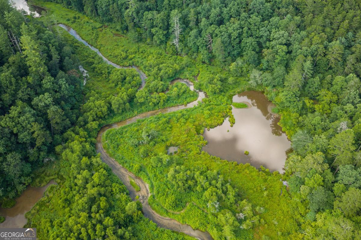 196 Creek Camp Rd, Ellijay, GA, 30536, USA, 2 Bedrooms Bedrooms, ,1 BathroomBathrooms,Residential,Active,196 Creek Camp Rd,10818609