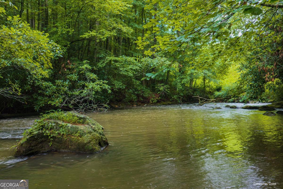196 Creek Camp RD