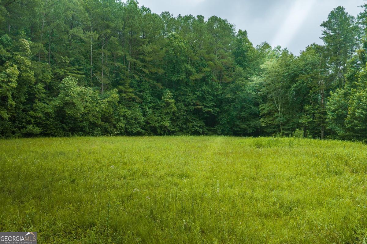 196 Creek Camp Rd, Ellijay, GA, 30536, USA, 2 Bedrooms Bedrooms, ,1 BathroomBathrooms,Residential,Active,196 Creek Camp Rd,10818609