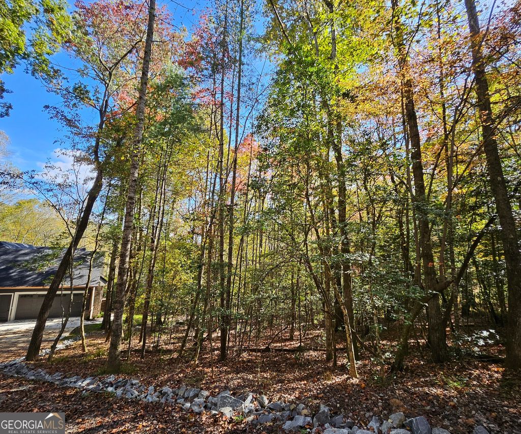 Photo of 167 Happy Valley Lane, Morganton, GA 30560 (MLS # 10659865)