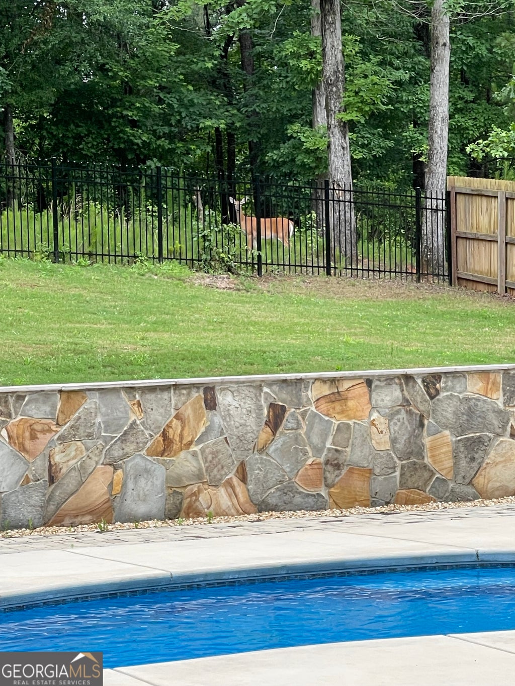 Photo of 146 Aubree Way, McDonough, GA 30252 (MLS # 10785159)