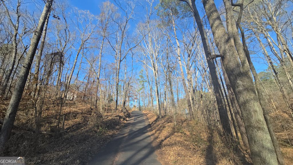 Photo of 126 Puckett Road SE, Emerson, GA 30137 (MLS # 10707869)