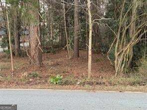 YATES RD LOT 35, ATLANTA, GA 30337 - Image e76d0c062b4cb4f7958c68c9bbc0cd12/3587567960