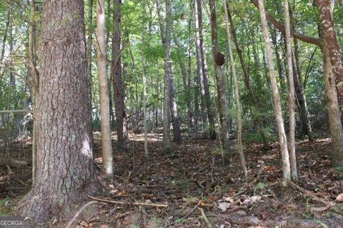 Photo for LOT 16R Leatherwood Mountain RD