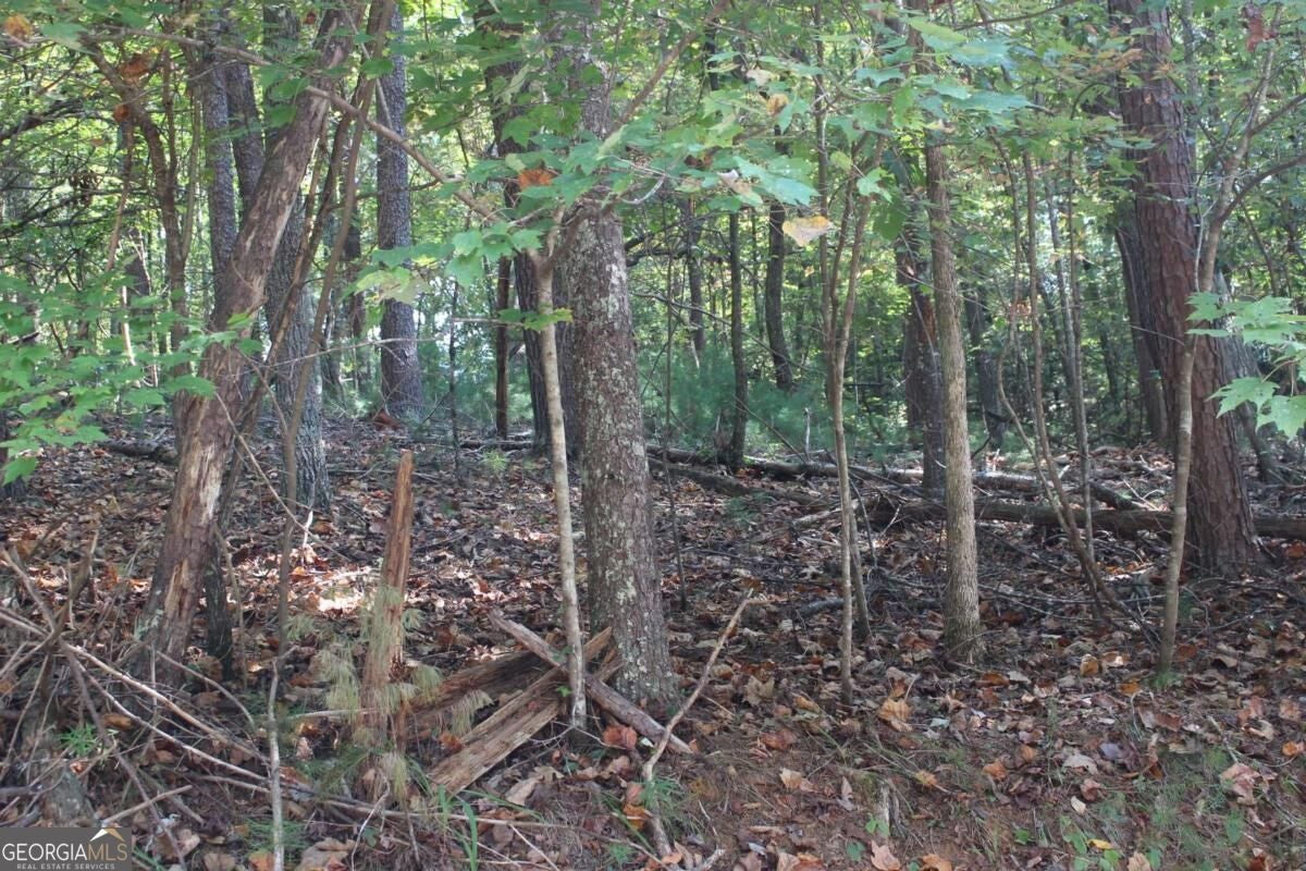 LOT 16R Leatherwood Mountain RD