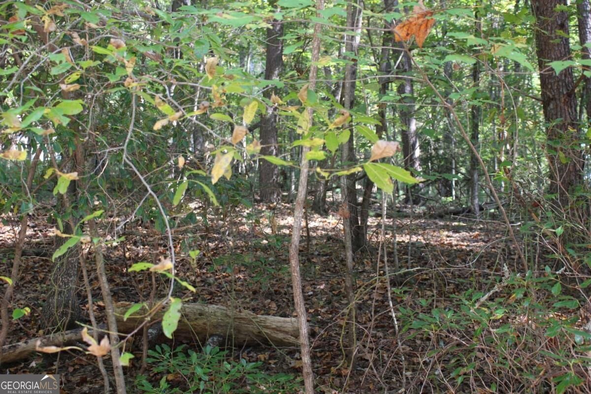 LOT 16R Leatherwood Mountain RD