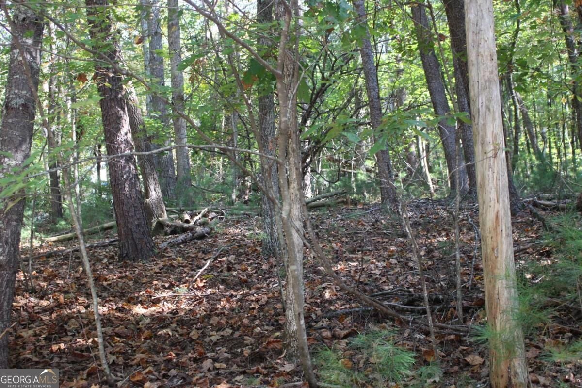 LOT 16R Leatherwood Mountain RD