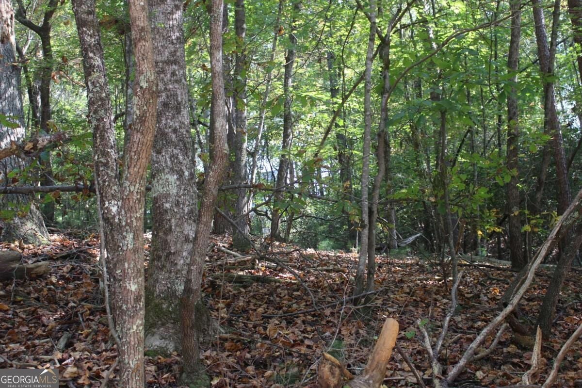LOT 16R Leatherwood Mountain RD