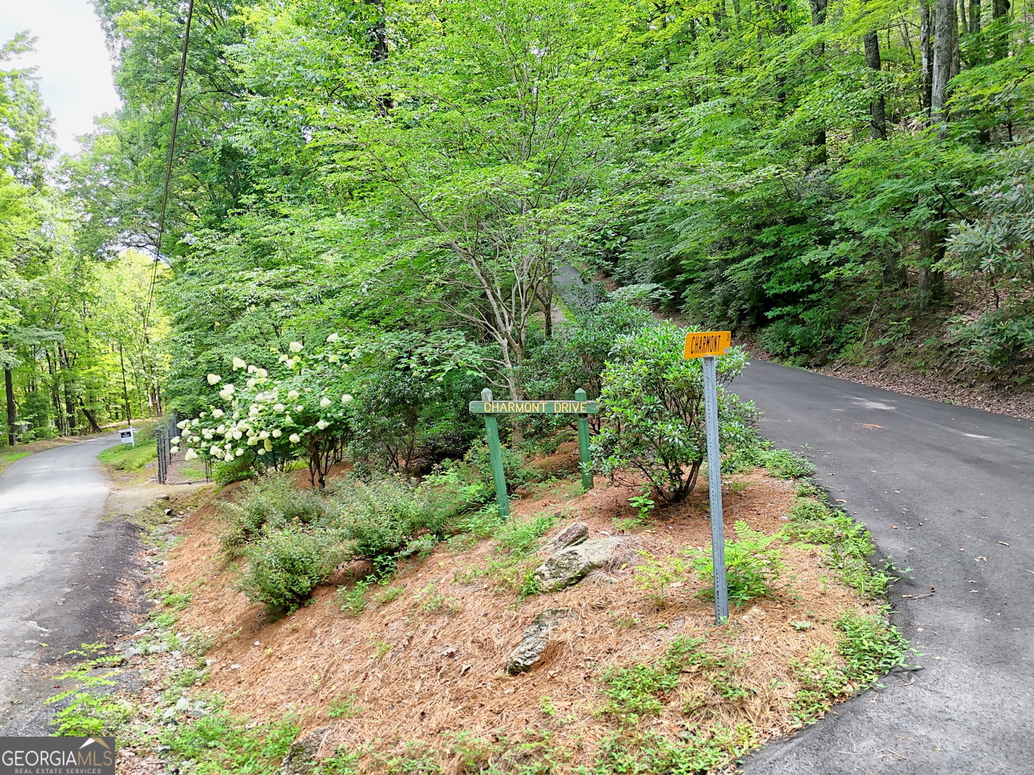 Tiger, Georgia 30576, United States, ,Land,Active,188604