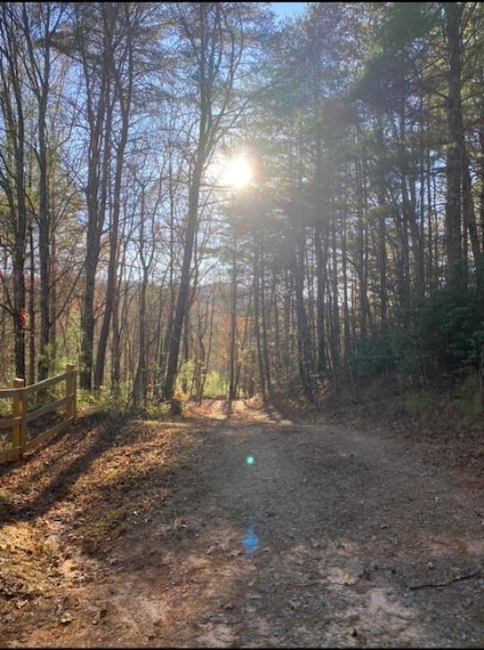 Ellijay - Land