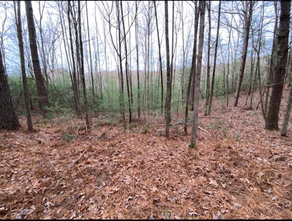 Ellijay - Land