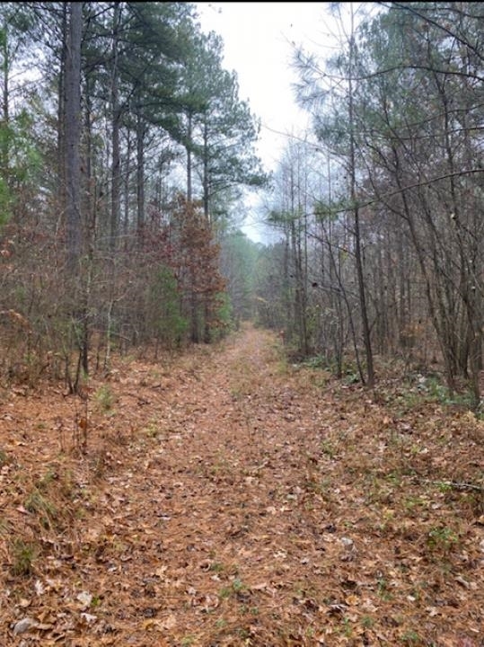 Ellijay - Land