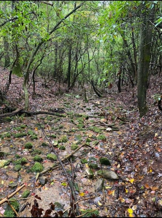 Great Mountain property located in Ellijay! 23.62 acres of UNRESTRICTED land, 3 mountain view building sites with soil/septic tests already completed for each. 7.62 acres have been subdivide, so new owners could sell that or keep it all to yourself! Year around spring flows at the bottom of the property. Gated and private. Power close by. Close to Anderson Creek Retreat, great fly fishing, and about 12 minutes up the mountain from BJ Reece Orchards. Do not visit property without owner