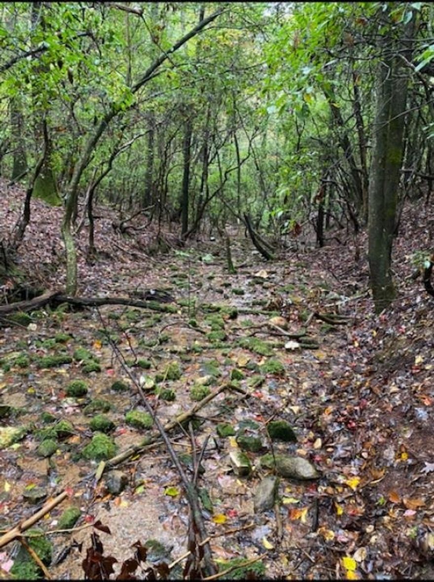 Great Mountain property located in Ellijay! 23.62 acres of UNRESTRICTED land, 3 mountain view building sites with soil/septic tests already completed for each. 7.62 acres have been subdivide, so new owners could sell that or keep it all to yourself! Year around spring flows at the bottom of the property. Gated and private. Power close by. Close to Anderson Creek Retreat, great fly fishing, and about 12 minutes up the mountain from BJ Reece Orchards.  Do not visit property without owner