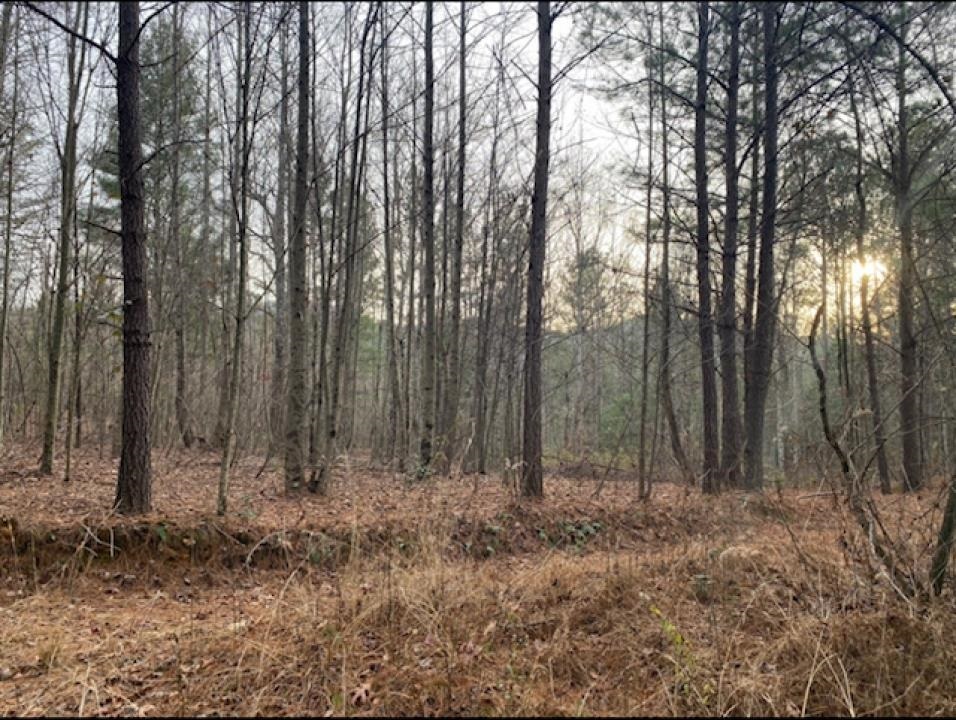 Ellijay - Land