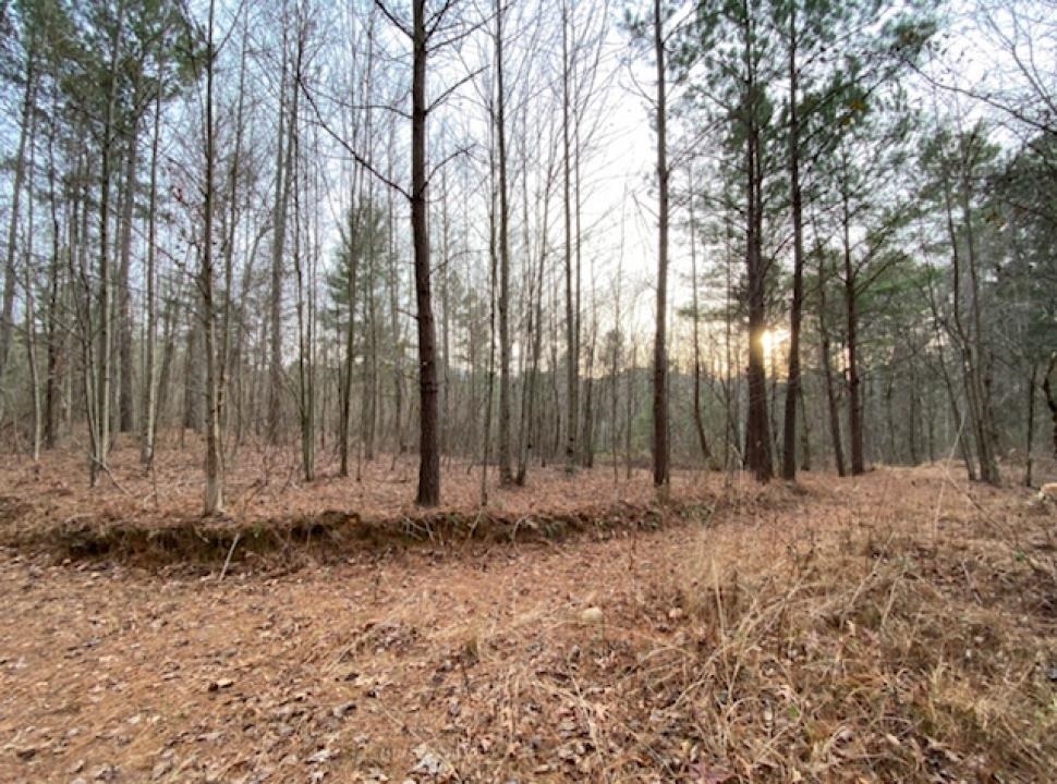 Ellijay - Land