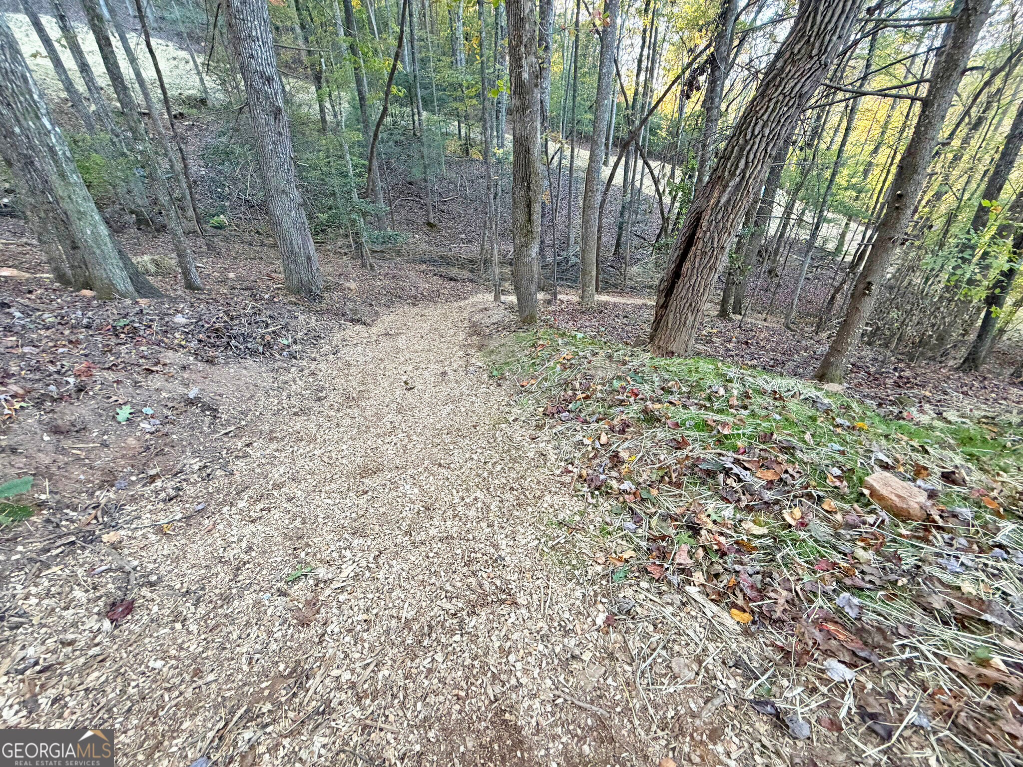 13C Rainey Valley Ln