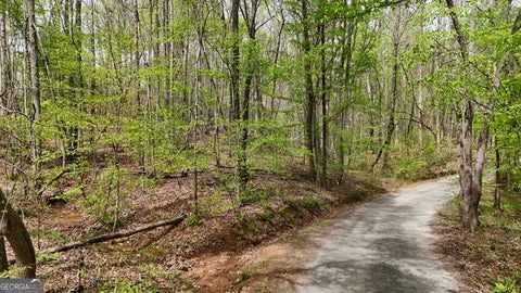 0 Shenandoah DR Cleveland GA 30528