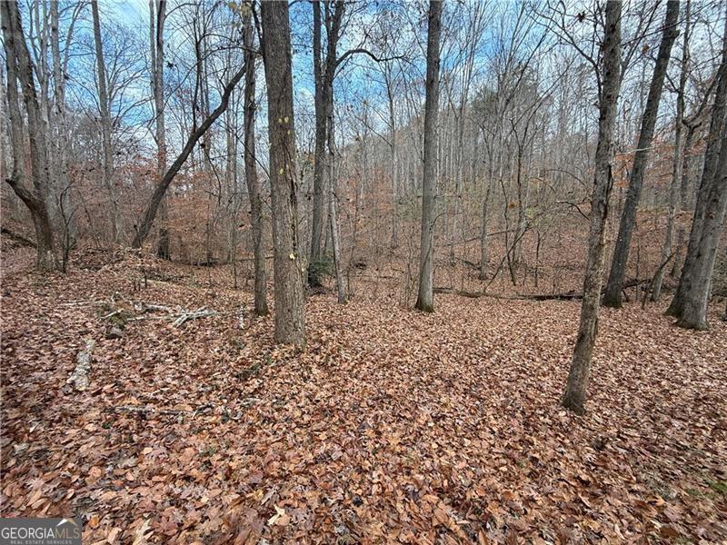 0 Falling Pines RD