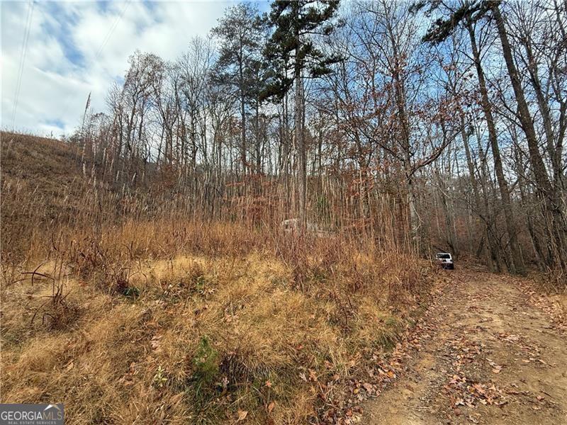 0 Falling Pines RD