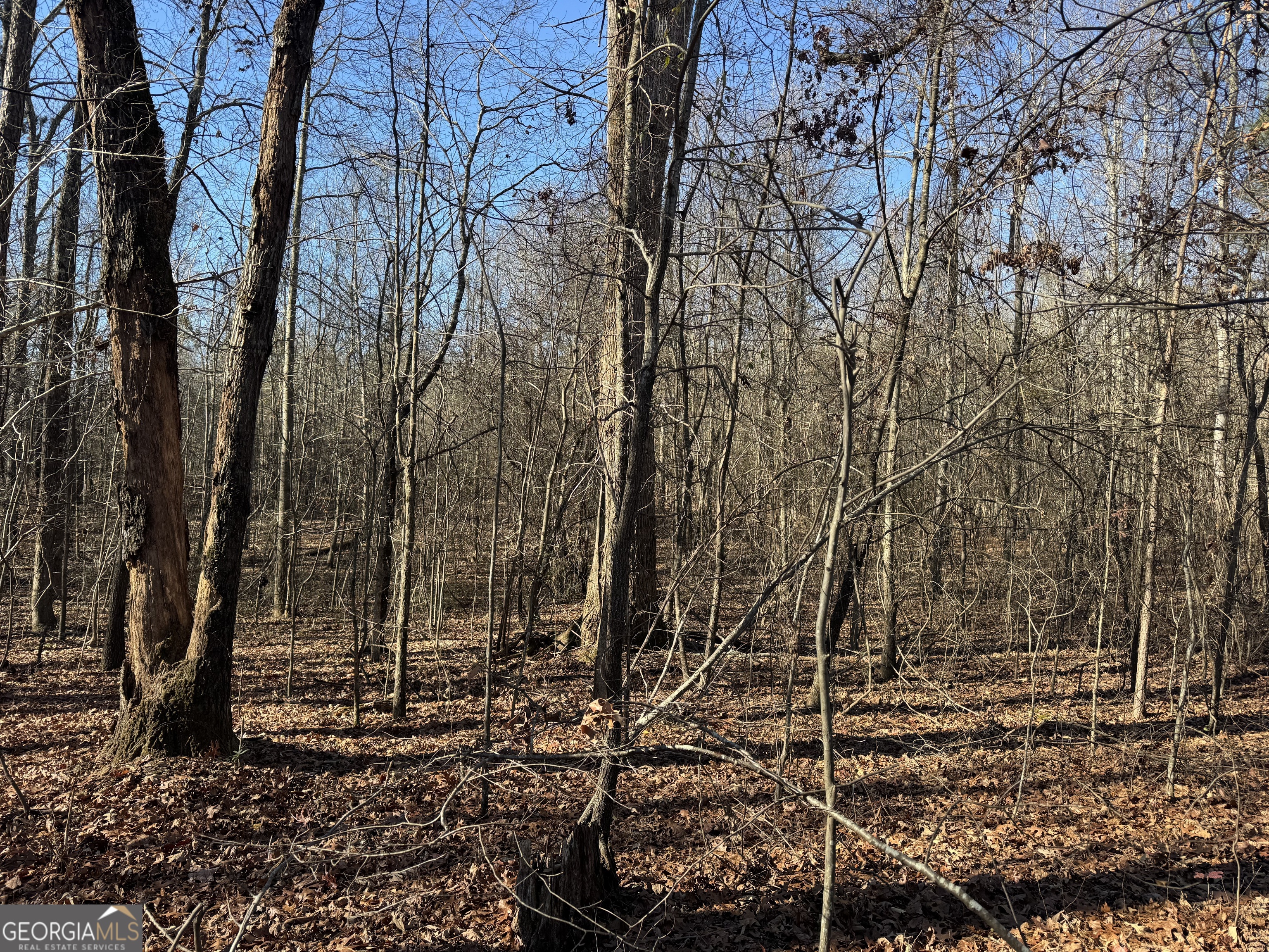 4611 MONROE Hwy - Hwy 78 PARCEL C - 3 ACRES