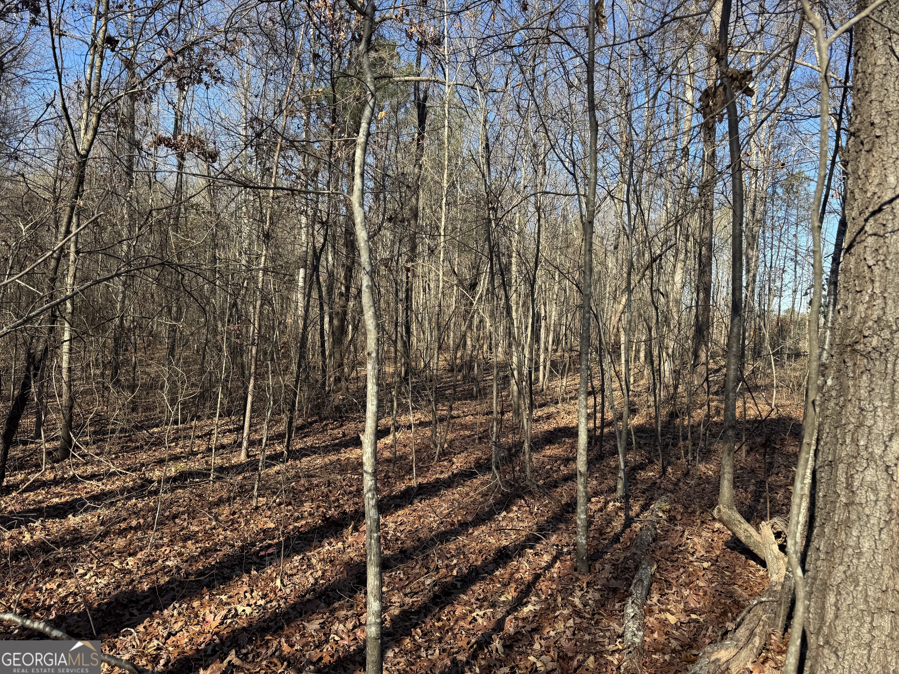 4611 MONROE Hwy - Hwy 78 PARCEL C - 3 ACRES