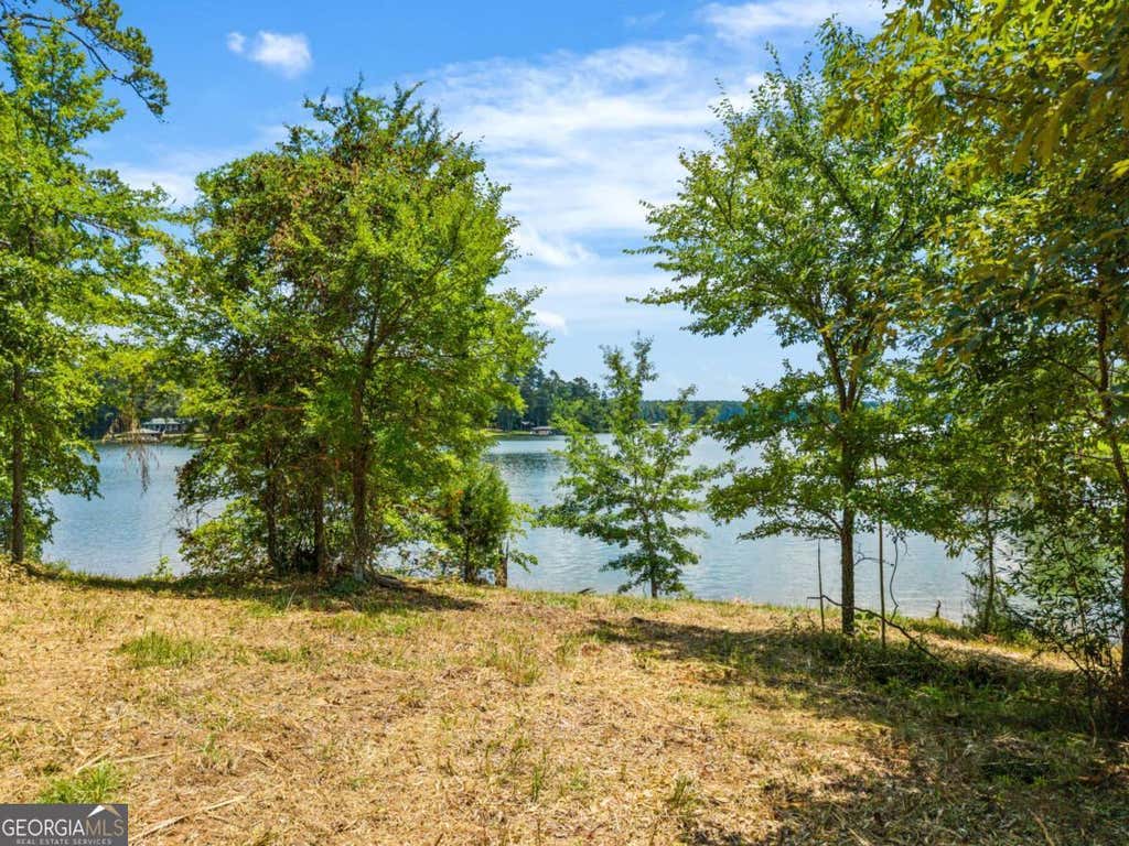 Photo of 0 Foxglove Drive, Sparta, GA 31087 (MLS # 10804699)