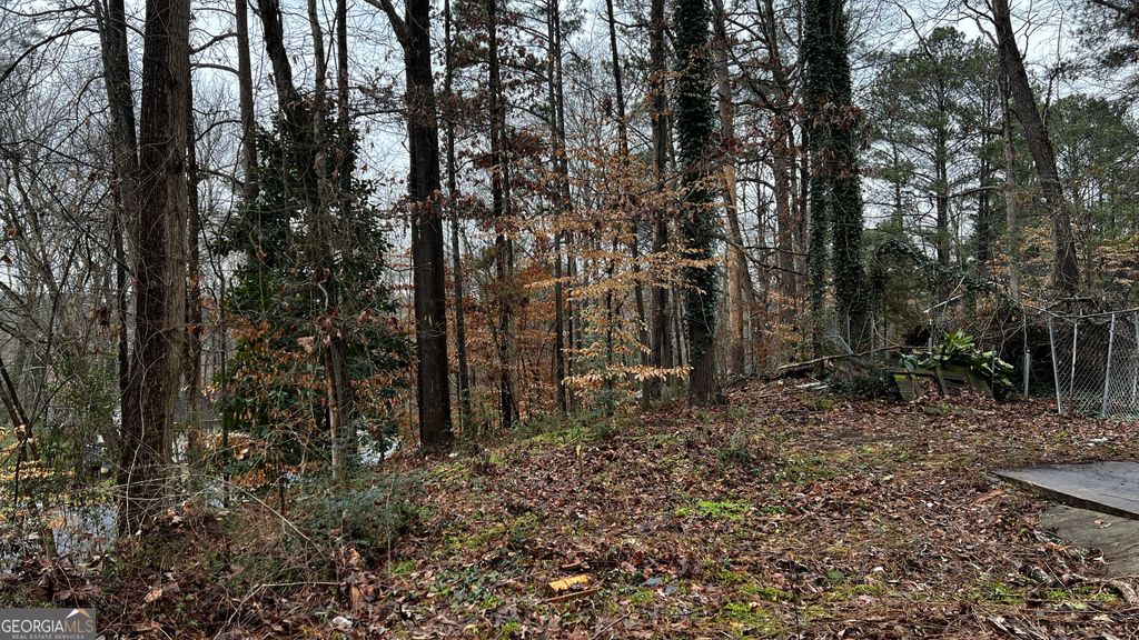 Photo of 3291 Wintercreeper Drive, Lithonia, GA 30038 (MLS # 10696064)