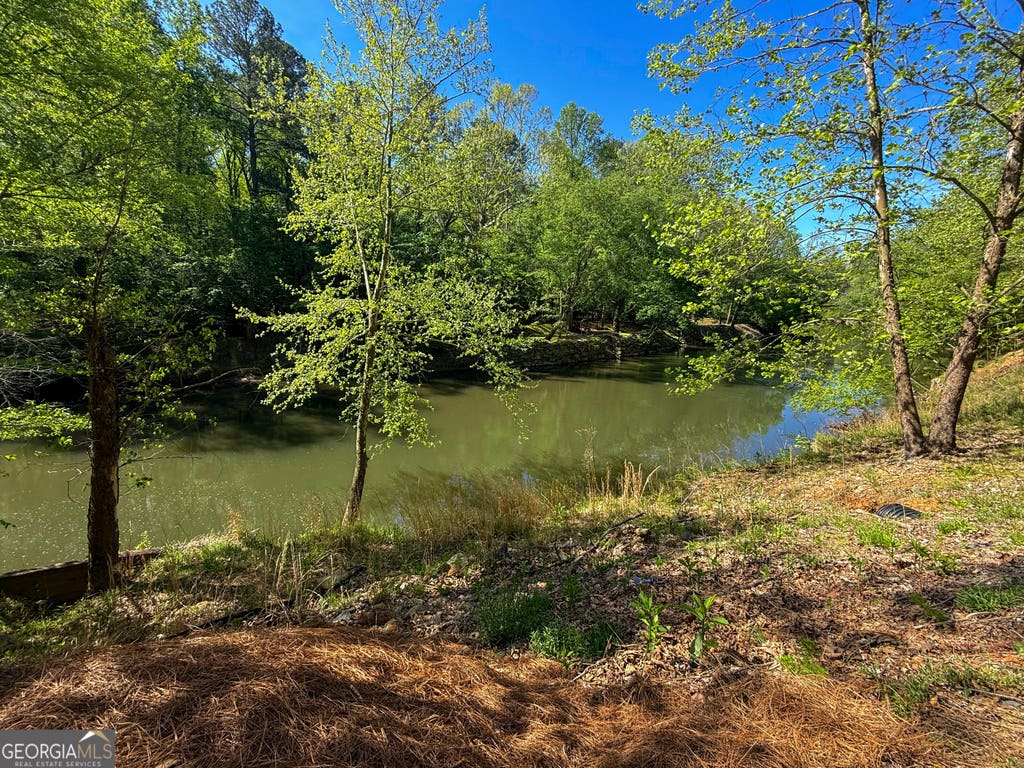 Photo of 301 Ogden Drive, Ellijay, GA 30540 (MLS # 10781557)