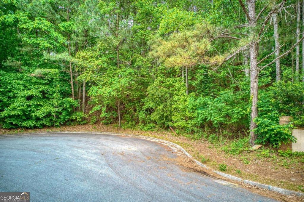 Photo of 2715 Brass Lantern Court, Douglasville, GA 30135 (MLS # 10756249)