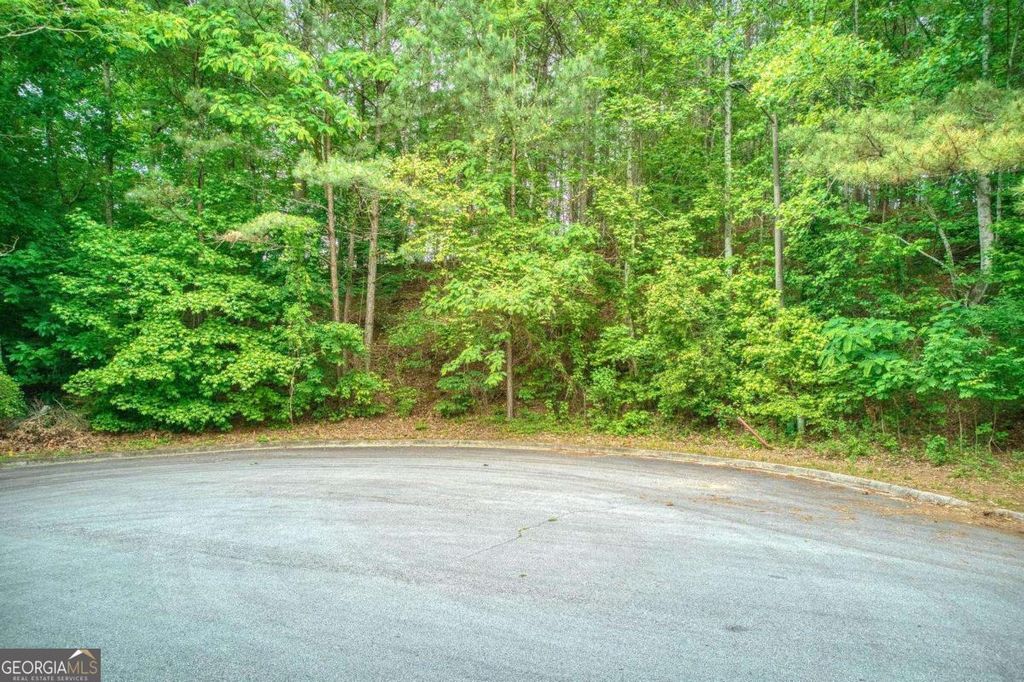 Photo of 2715 Brass Lantern Court, Douglasville, GA 30135 (MLS # 10756249)