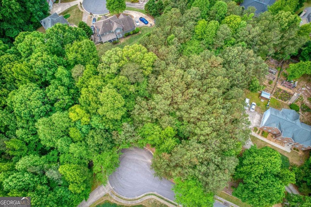 Photo of 2715 Brass Lantern Court, Douglasville, GA 30135 (MLS # 10756249)