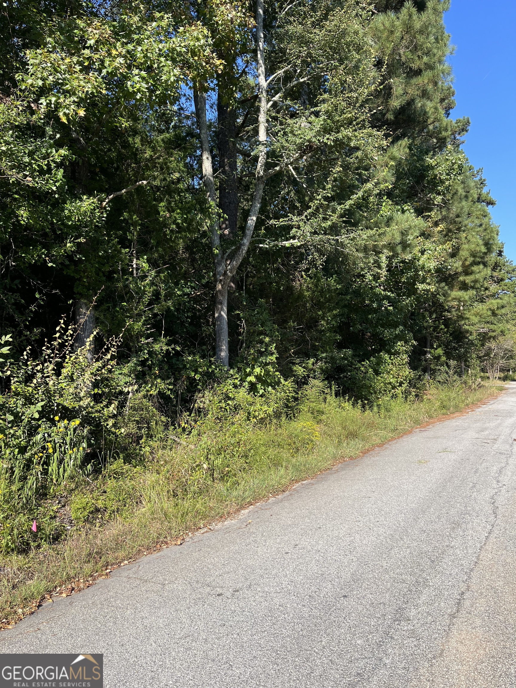 PLEASE NOTE! 2340 and 2348 are being sold together for a total price of $25,500. Double Lot Package in Lake Community - Mobile Home Ready! Looking for the perfect spot to place your mobile home? Discover 2340 & 2348 Hi Roc Circle - two adjoining lots sold together in a serene beach lake community that offers the peace of nature with the perks of resort-style living! Already equipped with a septic system Shared community water well - no need to drill Flat and ready for mobile home installation Tons of potential with two lots! This is more than just land - it's a lifestyle. Enjoy direct access to the community lake, perfect for fishing, boating, and swimming. Spend weekends grilling with friends at the clubhouse and park just steps away. All of this for only $150/year in HOA dues - yes, you read that right! Whether you're looking for a weekend getaway, a peaceful full-time residence, or an investment, this opportunity offers flexibility, affordability, and community charm. Located in a beautiful and quiet neighborhood, yet still convenient to town and amenities. Feel free to contact me for more information or a tour 678-656-5942. Se habla Espanol!