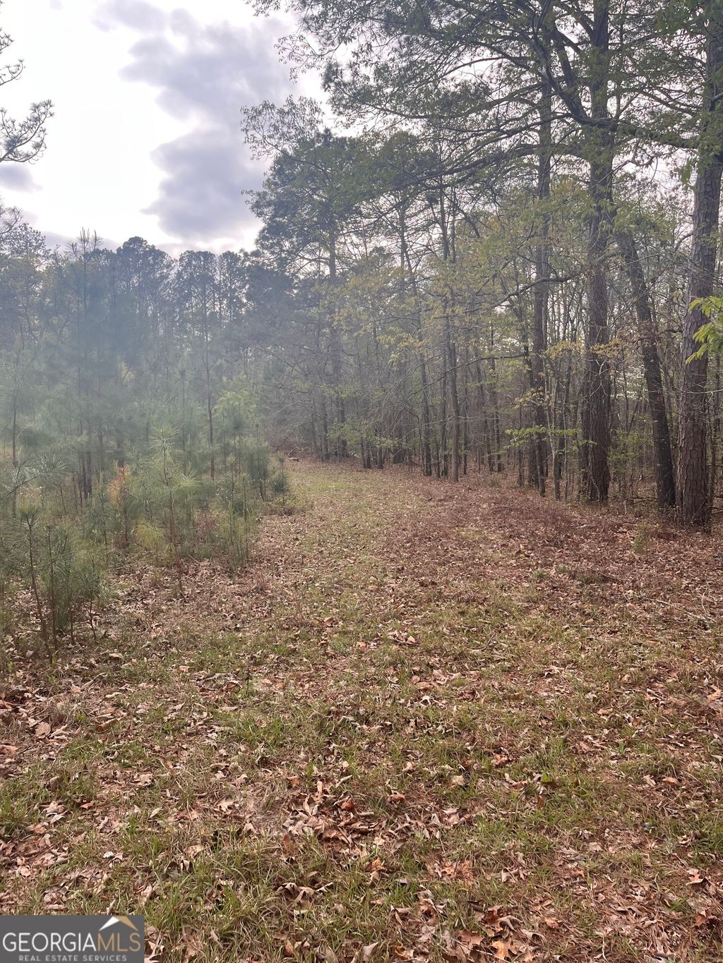 Photo of 106 Missed Lane, Sparta, GA 31087 (MLS # 10724196)