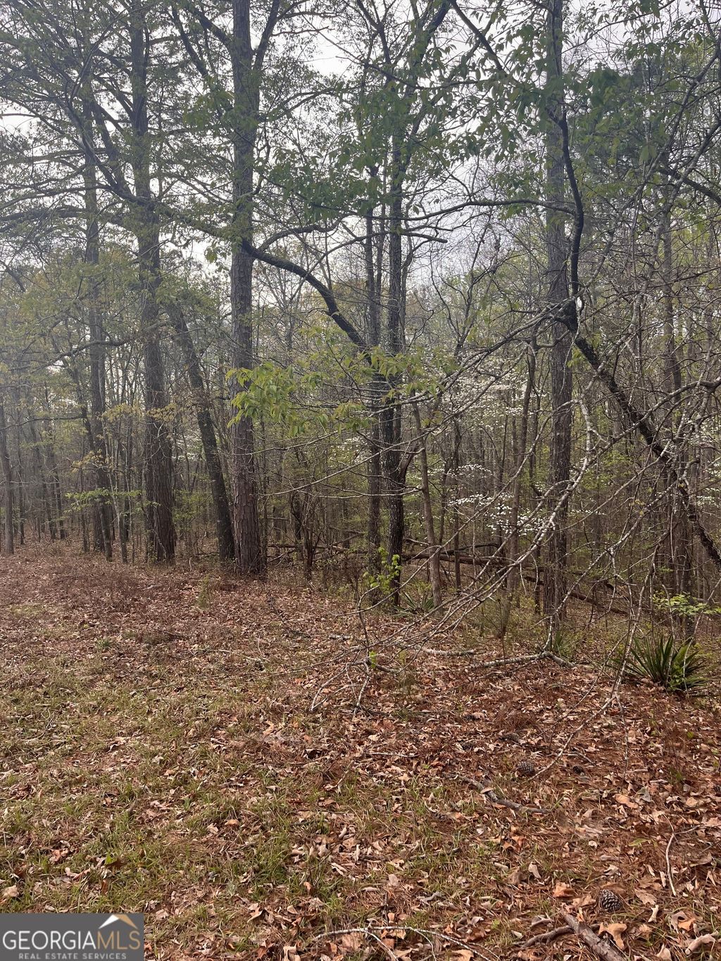 Photo of 106 Missed Lane, Sparta, GA 31087 (MLS # 10724196)