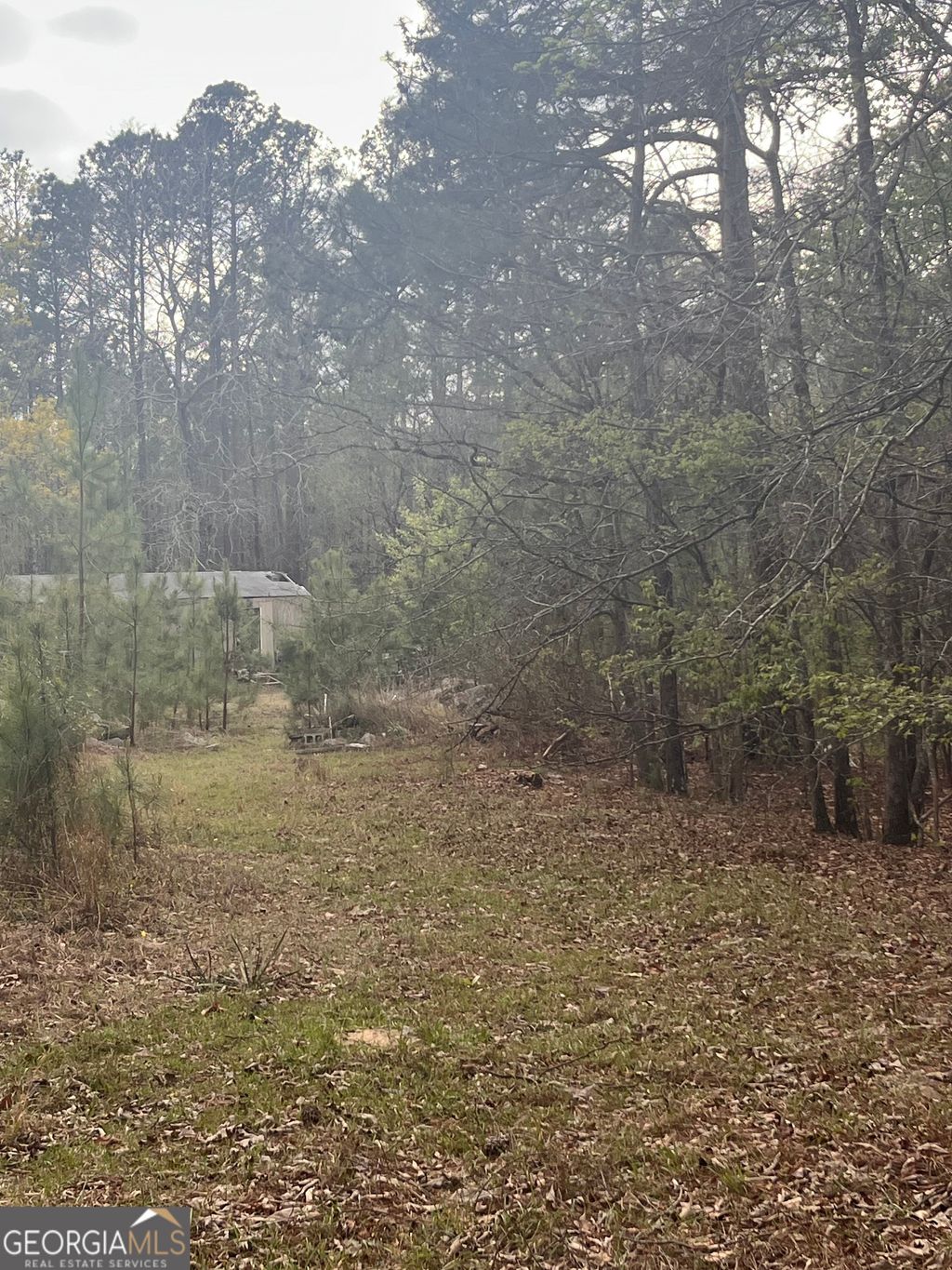 Photo of 106 Missed Lane, Sparta, GA 31087 (MLS # 10724196)