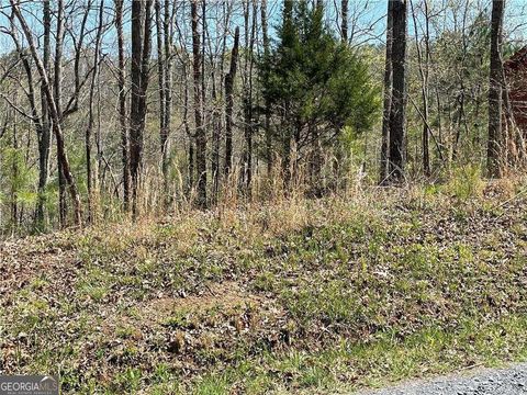 1672 Hunter DR Ranger GA 30734