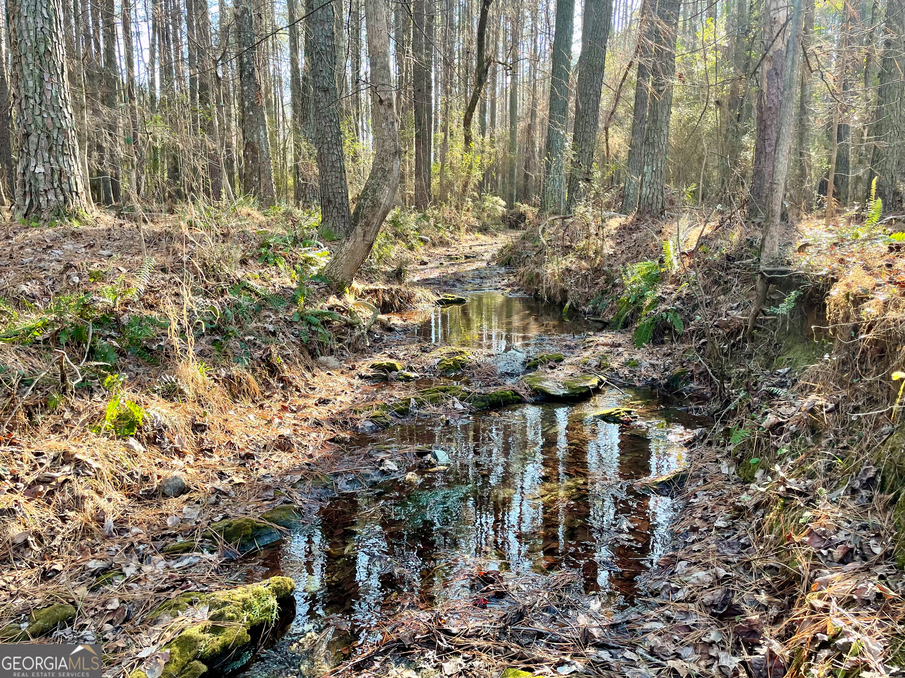 176 +/- Acres on Arnold Road