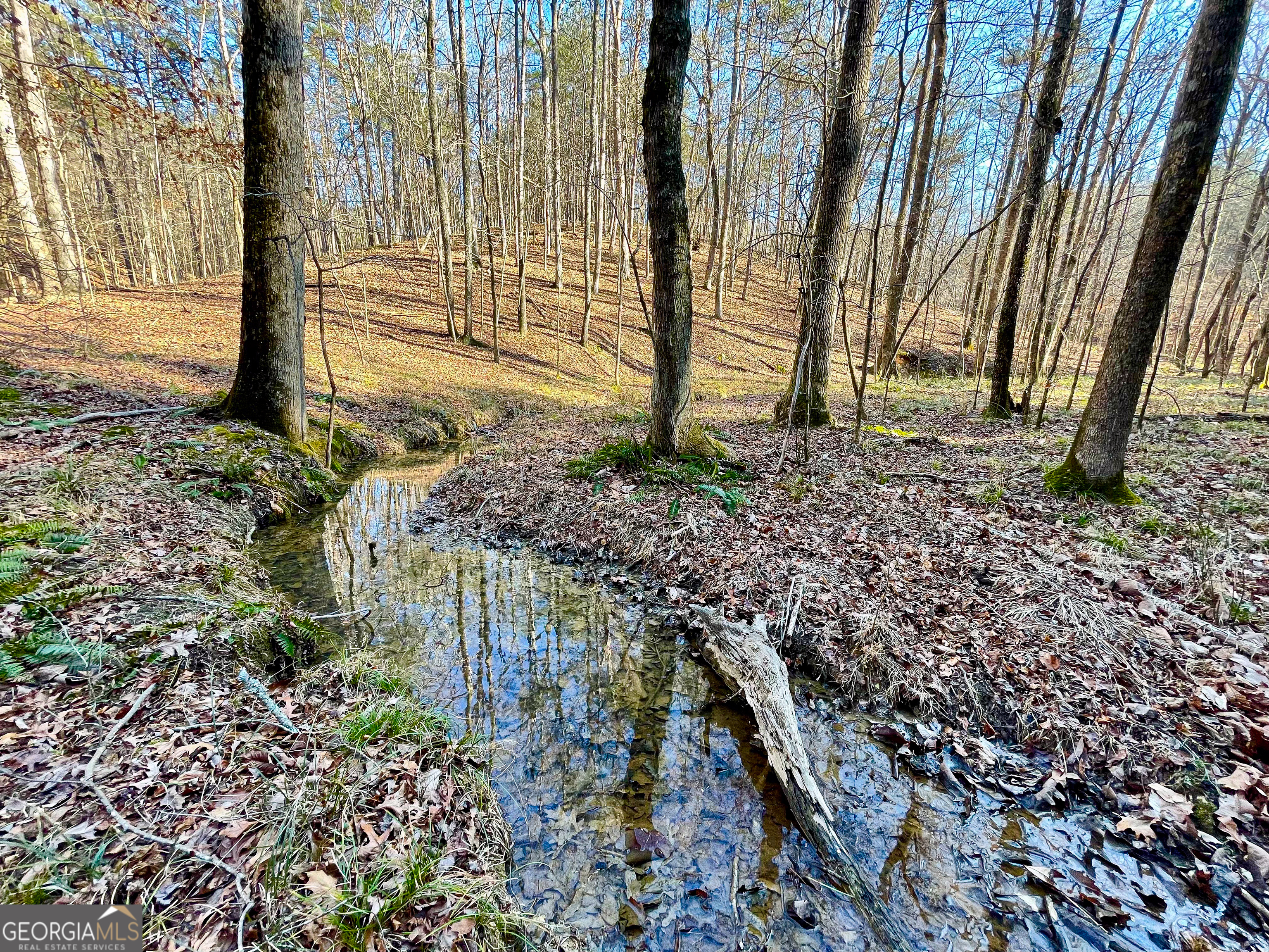 176 +/- Acres on Arnold Road