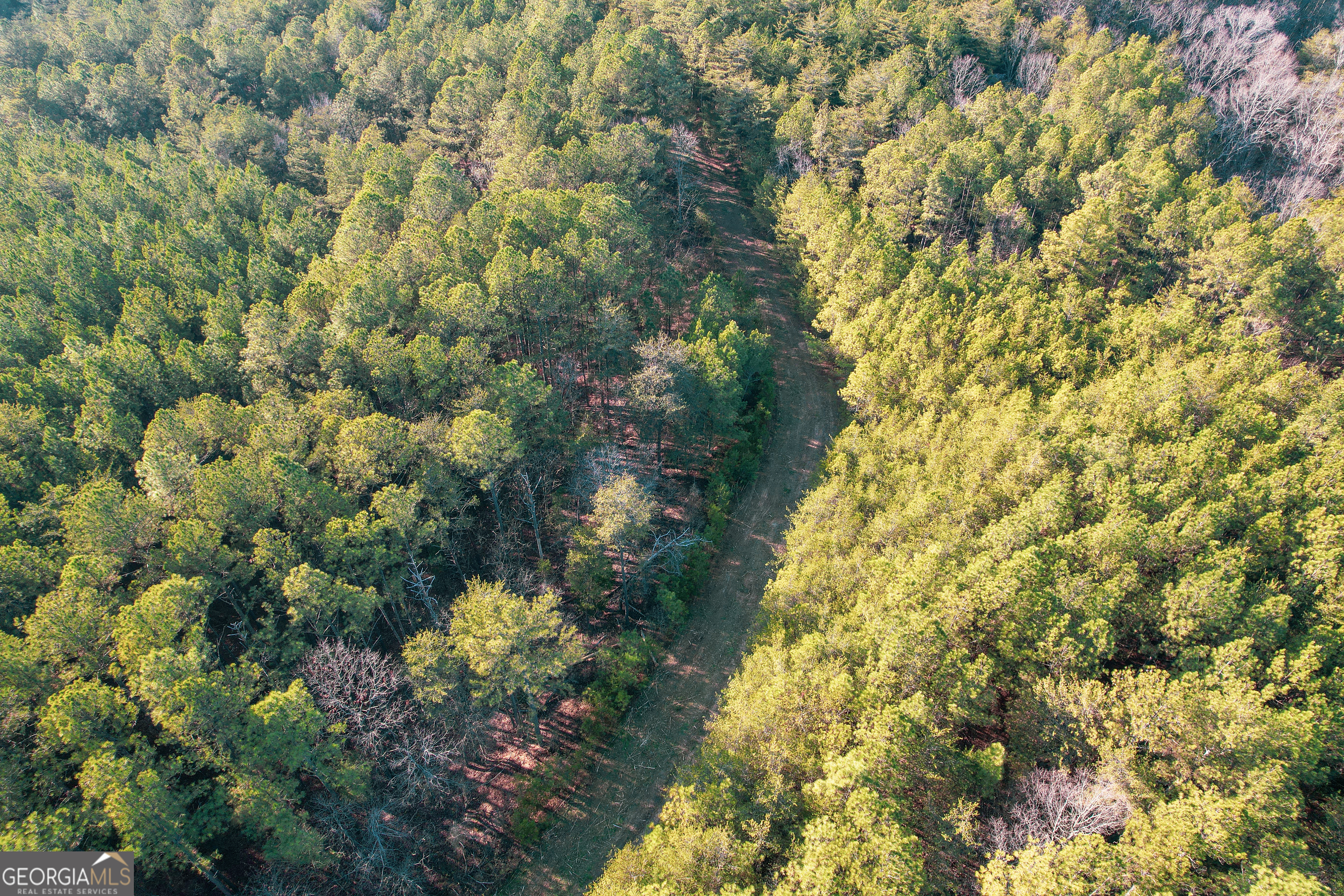176 +/- Acres on Arnold Road