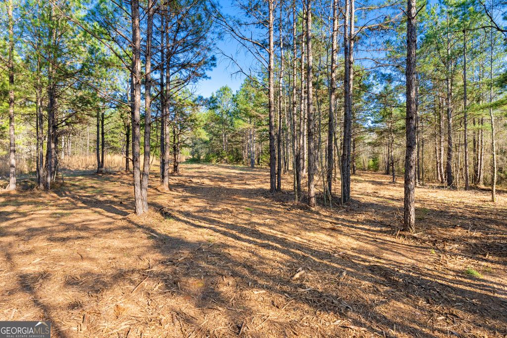 Photo of 10 Legacy View, Hartwell, GA 30643 (MLS # 10724597)