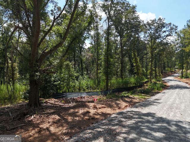 0 Sanford Lake DR TRACT 4