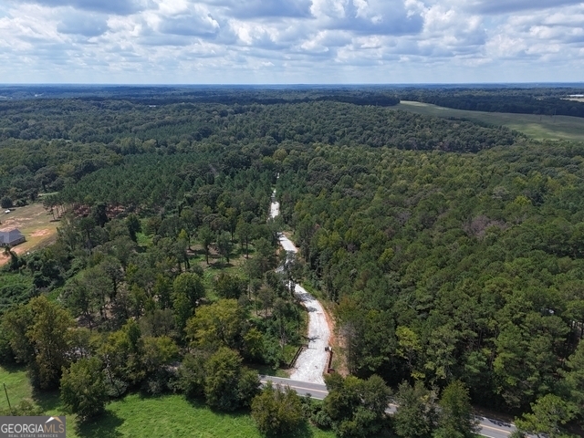 0 Sanford Lake DR TRACT 4