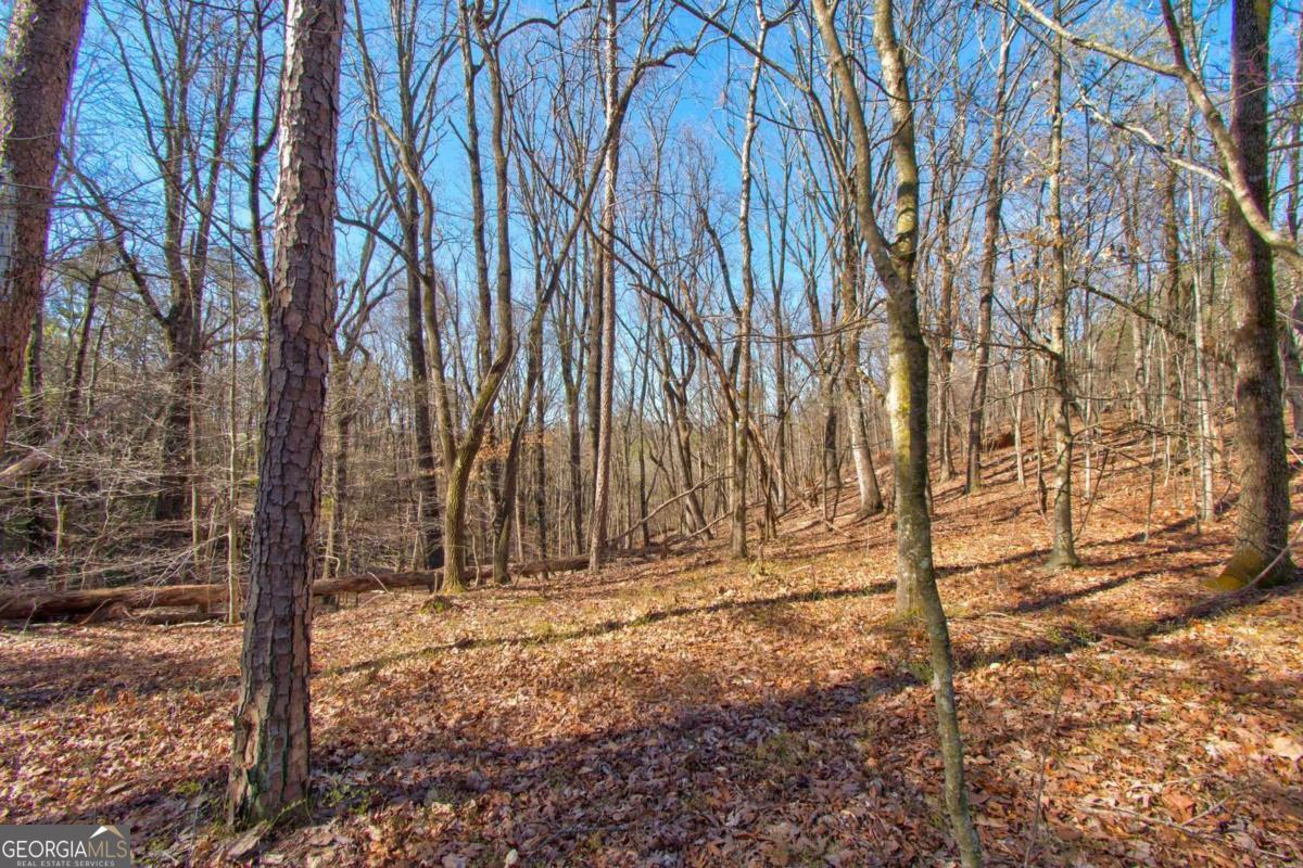 600 Chapman Ridge LN