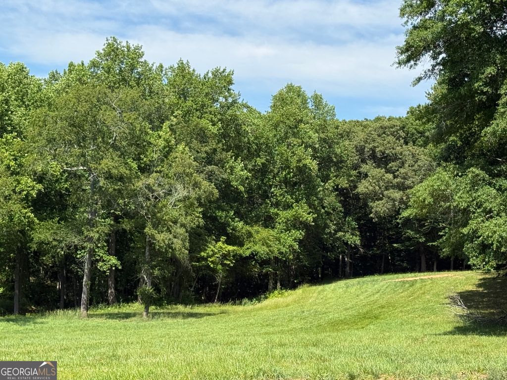 Photo of 603 Wall Bridge Road, Clarkesville, GA 30523 (MLS # 10767910)