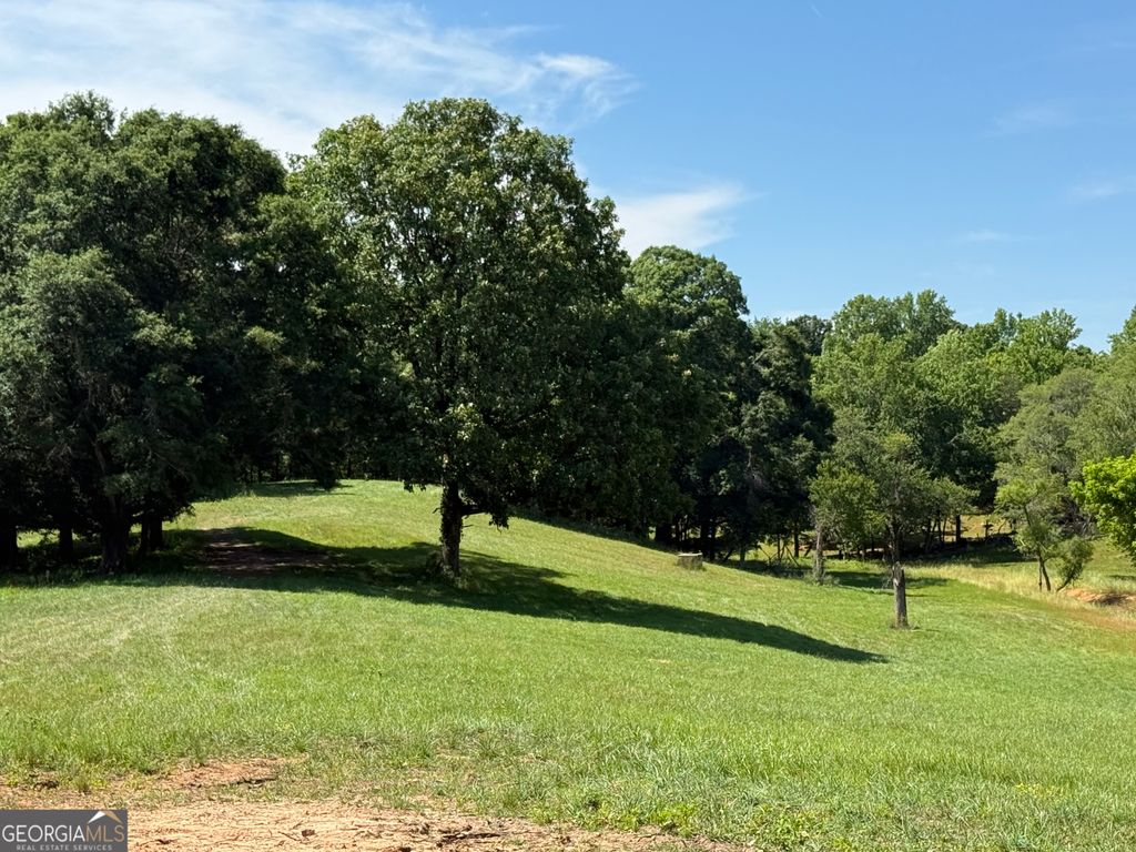 Photo of 603 Wall Bridge Road, Clarkesville, GA 30523 (MLS # 10767910)