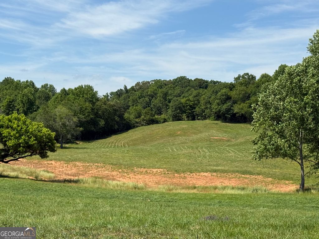Photo of 603 Wall Bridge Road, Clarkesville, GA 30523 (MLS # 10767910)