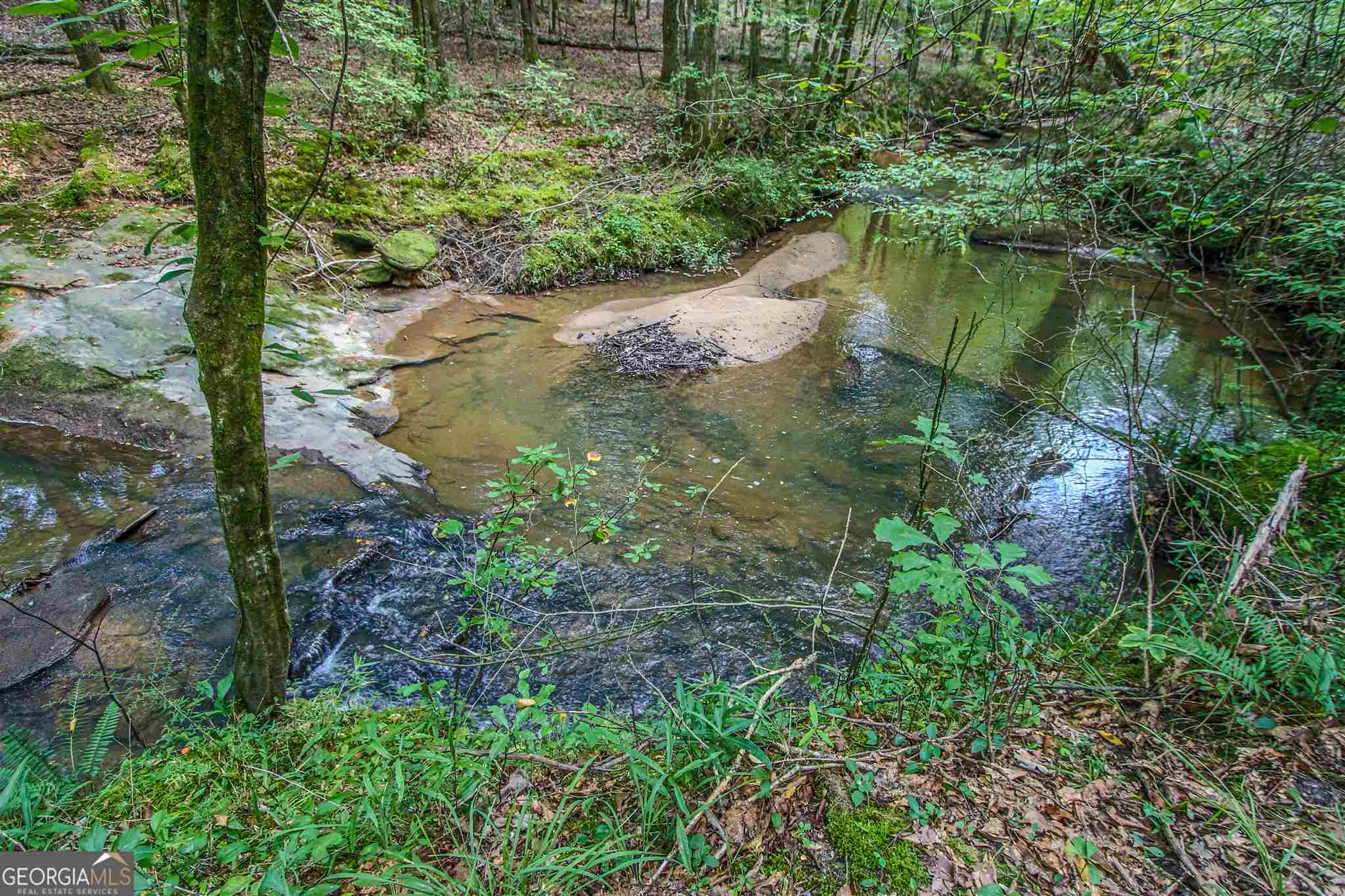 Tyrone, Georgia 30290, United States, ,Land,Pending,17263